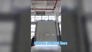Insulated Sectional Doors