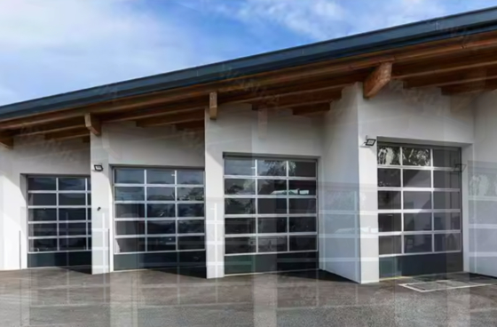 Modern Design Style Water Tightness Class 3 Transparent Glass Sectional Garage Door with Sectional Design
